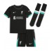 Liverpool Darwin Nunez #9 Replica Away Minikit 2024-25 Short Sleeve (+ pants)